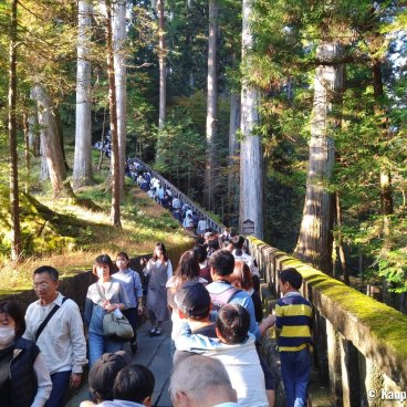 Toshogu (Nikko), Waiting line on a bank holiday (Nov. 2023)