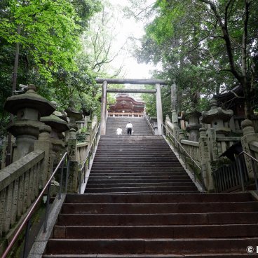 Kotohira-gu (Shikoku), View of Hongu main shrine from the stairway