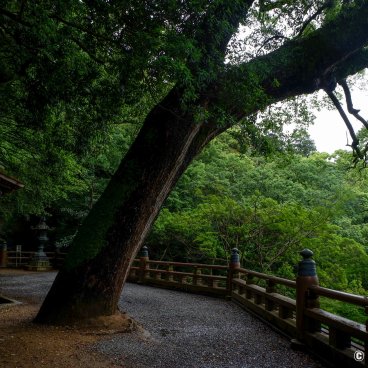 Kotohira-gu (Shikoku), Entrance of the path to Oku no sha sanctuary