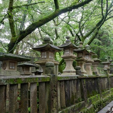 Kotohira-gu (Shikoku), Sakura-baba path lined with lanterns