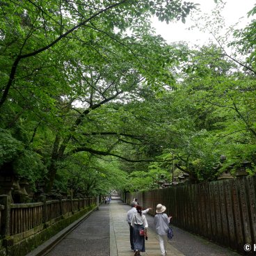 Kotohira-gu (Shikoku), Sakura-baba path lined with lanterns 2