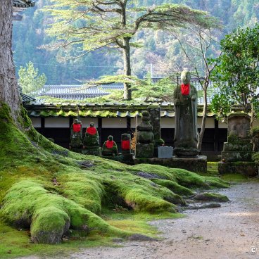 Daijo-ji (Kasumi, Hyogo), Sacred camphor tree and JIzo statues