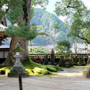 Daijo-ji (Kasumi, Hyogo), Sacred camphor tree and JIzo statues 2