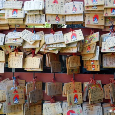 Naritasan Fukagawa Fudo-do (Tokyo), Ema votive plates