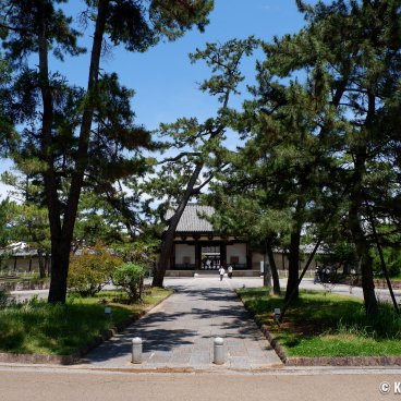 Horyu-ji (Ikaruga), Last leg of the pine trees alley to Nandaimon gate