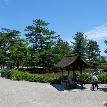 Horyu-ji (Ikaruga), Temple's grounds between Sai-in Garan and the Treasure Hall