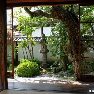 Lafcadio Hearn Memorial Museum (Matsue), View on the samurai residence's Japanese garden in spring 2