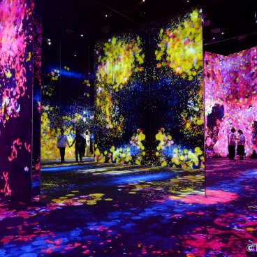 teamLab Borderless (Azabudai Hills, Tokyo), Flowers and People, Cannot be Controlled but Live Together
