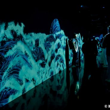 teamLab Borderless (Azabudai Hills, Tokyo), Black Waves: Flowing Beyond Borders
