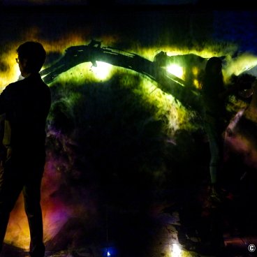 teamLab Borderless (Azabudai Hills, Tokyo), Reversible Rotation Dissolving: Darkness Sculpture