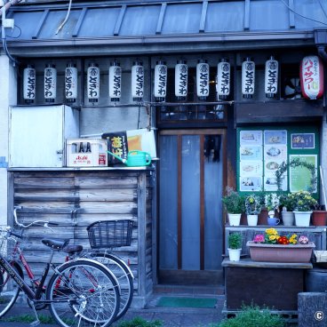 Yanaka Ginza (Tokyo), Typical front store in the street