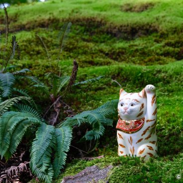 Hiyo Koke no Sato (Ishikawa), Maneki-neko statue on a moss bed