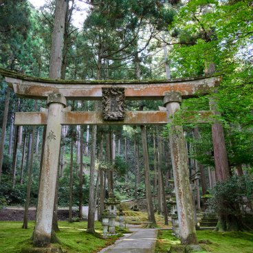 Hiyo Koke no Sato (Ishikawa), Entrance of Hiyo-jinja shrine