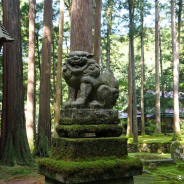 Hiyo Koke no Sato (Ishikawa), Komainu statue at Hiyo-jinja shrine