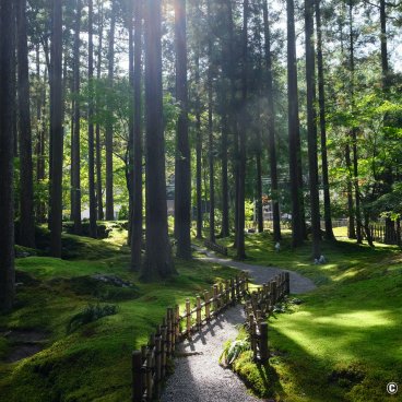 Hiyo Koke no Sato (Ishikawa), Pathway in the moss garden