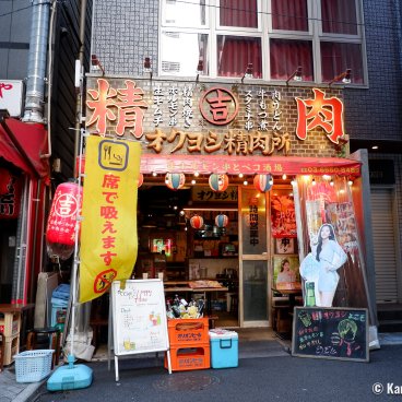 Yurakucho (Tokyo), Okuyoshi Seinikujo izakaya specializing in meat and variety meat dishes