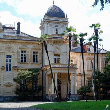 Kyu Iwasaki-tei Teien (Tokyo), Western-style house and palm trees