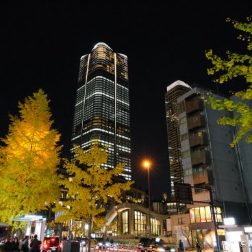 Azabudai Hills (Tokyo), Night view on the Mori JP Tower and golden foliage of the ginkgo trees