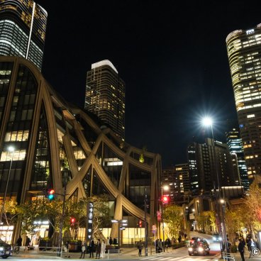 Azabudai Hills (Tokyo), Night view on the skyscrapers and golden foliage of the ginkgo trees
