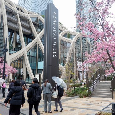 Azabudai Hills (Tokyo), Entrance of the building complex with blooming kawazu-zakura