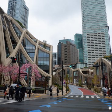 Azabudai Hills (Tokyo), Entrance of the building complex with blooming kawazu-zakura 3
