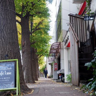 Shirokanedai (Tokyo), Gaien Nishi-dori avenue and its shops