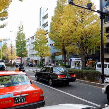 Shirokanedai (Tokyo), Gaien Nishi-dori avenue lined with ginkgo trees in autumn