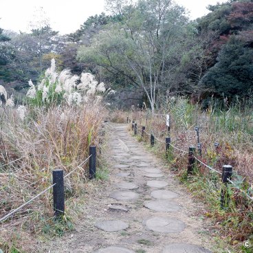 Shirokanedai (Tokyo), Institute for Nature Study in autumn