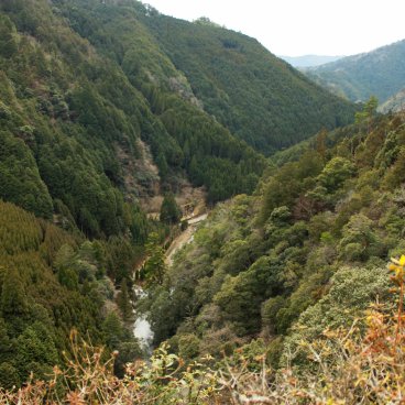 Takao (Kyoto), View on the valley from Jingo-ji temple