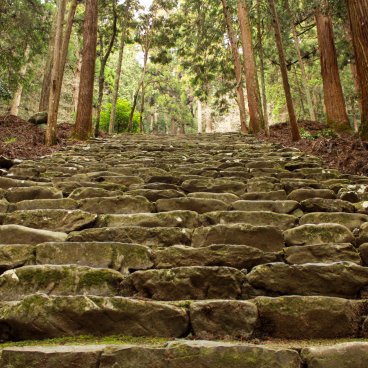 Takao (Kyoto), Stone stairway in the cedar forest on Kozan-ji temple's grounds