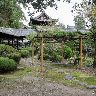 Manpuku-ji (Uji), The temple's garden at the end of summer