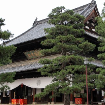 Manpuku-ji (Uji), Daiohoden main hall