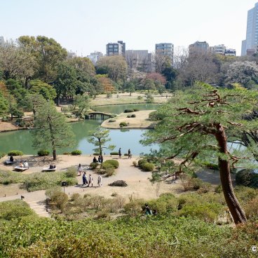 Rikugi-en (Tokyo), View on the central pond of the garden in early spring from Fujishiro-toge viewpoint