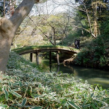 Rikugi-en (Tokyo), Yamakage-bashi bridge in the Japanese garden