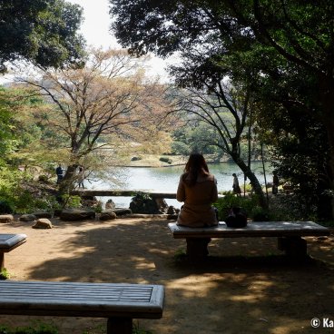 Rikugi-en (Tokyo), Area for resting and watching the Japanese garden at Ashibe-chaya's ruins