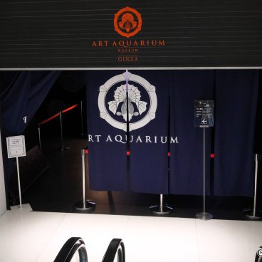 Art Aquarium Museum GINZA (Tokyo), Entrance of the museum in Ginza Mitsukoshi department store