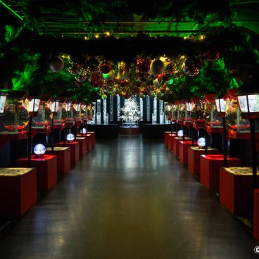 Art Aquarium Museum GINZA (Tokyo), Chochin-rium space decorated for Christmas