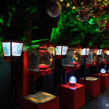Art Aquarium Museum GINZA (Tokyo), Chochin-rium space decorated for Christmas 2