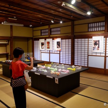 Gion Kagai Art Museum (Kyoto), Display of Geiko and Maiko's hair accessories