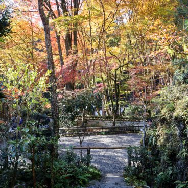 Kozan-ji (Takao, Kyoto), Temple's grounds in autumn