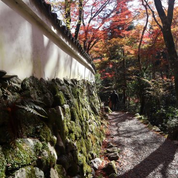 Kozan-ji (Takao, Kyoto), Entrance at the back of the temple (Ura-sando)