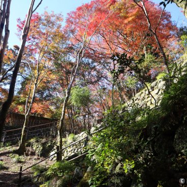 Kozan-ji (Takao, Kyoto), Zigzag stairway at the back entrance of the temple (Ura-sando)