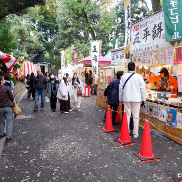 Meiji Jingu Gaien (Tokyo), Temporary stalls near Icho Namiki Avenue in autumn