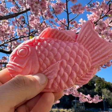 Kawazu-zakura Matsuri (Izu), Cherry blossom-flavored taiyaki waffle
