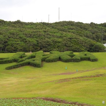 Tanegashima Space Center, Shrubbery shaped into the JAXA logo 