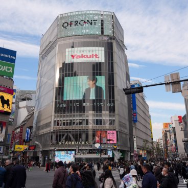Shibuya (Tokyo), Shibuya Crossing in January 2025