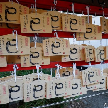 Itabashi (Tokyo), Ema votive plate portraying 2025's Chinese zodiac sign the snake at Toshincho Hikawa-jinja shrine