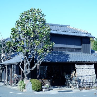 Yanaka Cemetery (Tokyo), Traditional Japanese architecture in the neighborhood