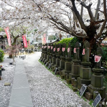 Yanaka Cemetery (Tokyo), Jizo statues at Jomyo-in temple