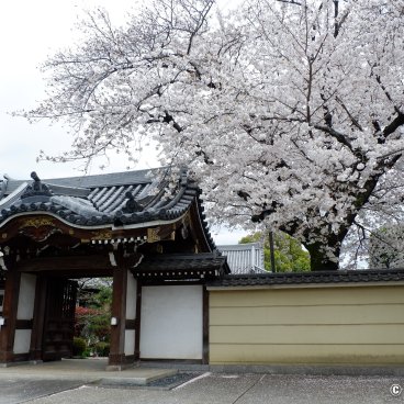 Yanaka Cemetery (Tokyo), Entrance of Daisen-ji temple